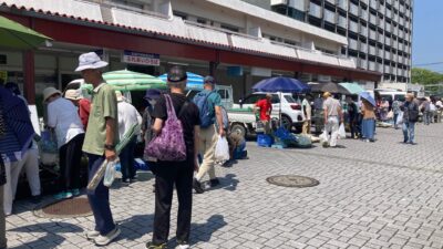 地場の新鮮な農産物と手づくり加工品でぜいたく気分が味わえる、北坂戸団地「軽トラ市」に行ってきました（2024年6月11日）